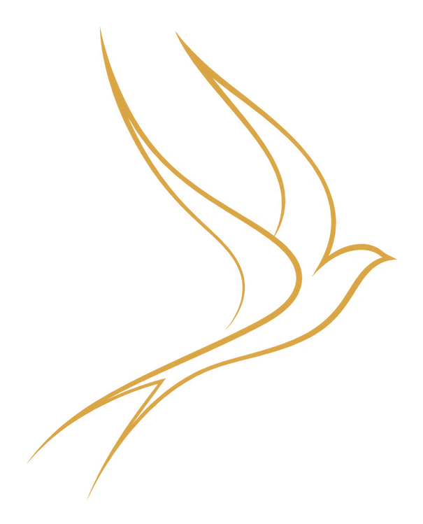 The Enara logo, a swallow in flight drawn in golden lines